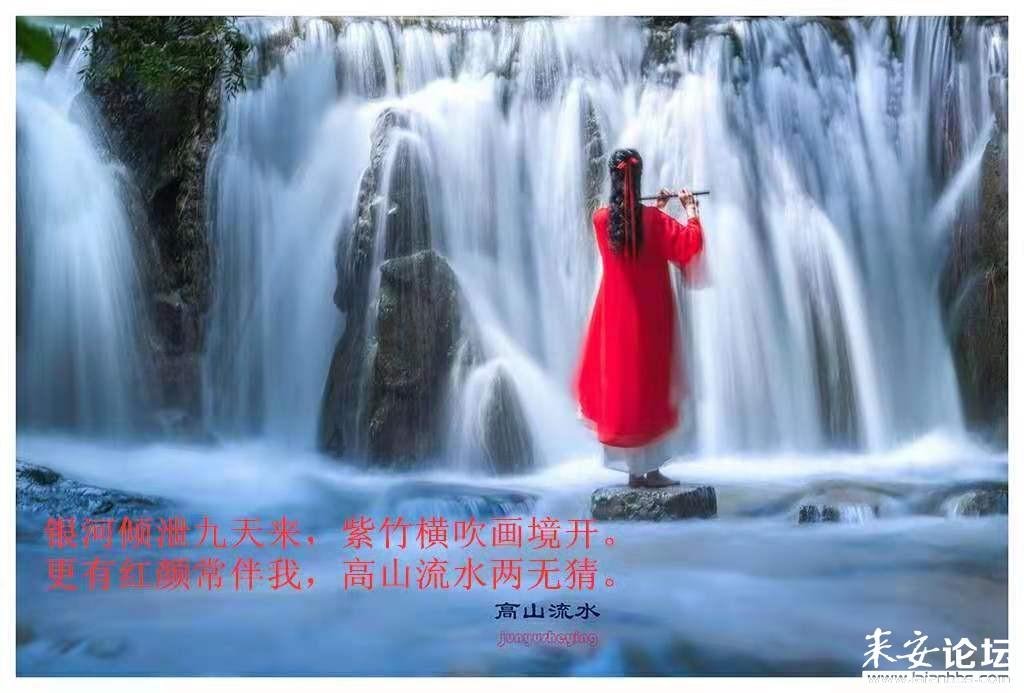 意想不到的旅程